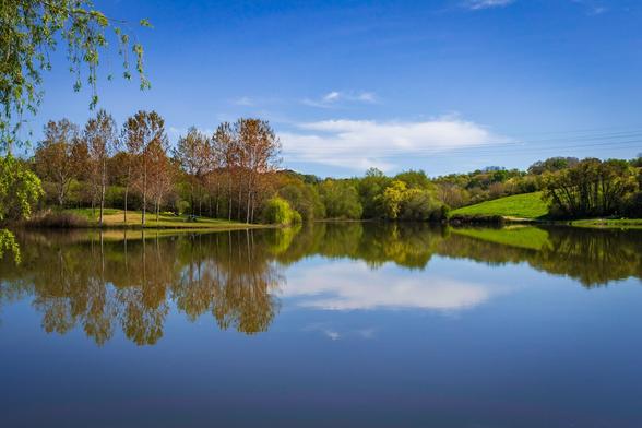 Photograph showing a calm lake at morning with trees and green vegetation reflected in the water.