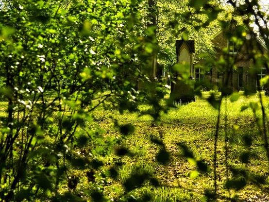 View through greenery. The focus is on a light-coloured gravestone with a black ‘pointed roof’. The sun falls on the gravestone.