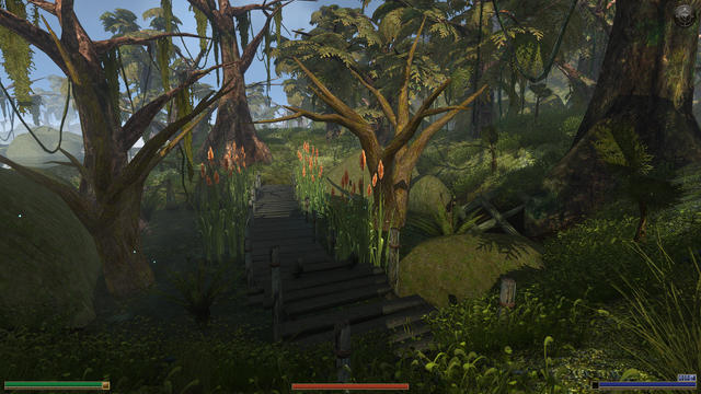 Swamp, incredibly good looking