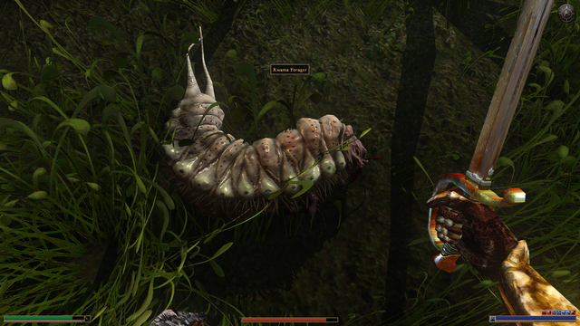 Kwama forager looks like a big squishy grub. Lighting is unbelievable