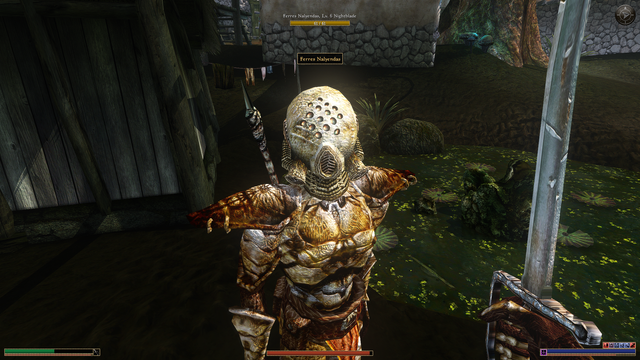 Guy with insect armor
