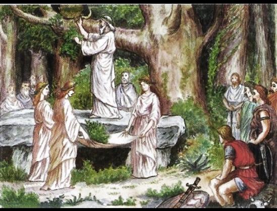 Das Bild zeigt eine künstlerische Darstellung eines druidischen Mistelrituals in einem heiligen Eichenhain, wie es aus antiken Quellen (v. a. Plinius dem Älteren) überliefert ist:
	•	Zentralfigur: Ein Druide in weißem Gewand steht auf einem Ast oder einem erhöhten Stein und schneidet mit einer goldenen Sichel Misteln von einer Eiche.
	•	Zeremonielle Helferinnen: Drei Frauen in weißen Gewändern fangen die herabfallenden Mistelzweige in einem weißen Tuch auf – eine Handlung, die verhindern soll, dass die heilige Pflanze den Boden berührt.
	•	Zuschauerkreis: Im Hintergrund sind weitere Druiden, Priester oder Gläubige zu erkennen, die das Ritual andächtig verfolgen.
	•	Römischer Beobachter oder Krieger: Rechts unten kniet ein Mann in römisch anmutender Kleidung – möglicherweise ein Symbol für das Zusammentreffen oder die Konfrontation keltischer und römischer Weltbilder.

Die Szene strahlt eine feierlich-mystische Atmosphäre aus und stellt die tiefe Naturverbundenheit und rituelle Genauigkeit der Druiden in den Vordergrund.🖖