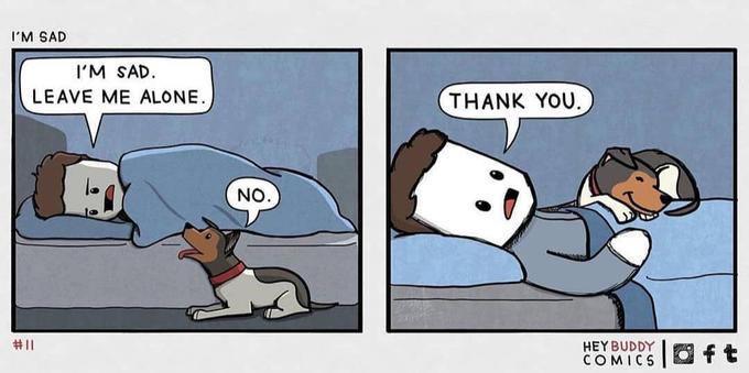 Comic strip by "HEY BUDDY COMICS" showing two panels:

1. A person lies in bed, covered with a blue blanket, saying, "I'M SAD. LEAVE ME ALONE." A small dog with a brown and white coat and a red collar responds, "NO."

2. The person smiles, hugging the dog under the blanket, saying, "THANK YOU." 

The title is "I'M SAD," and the comic is marked with "#11" in the corner. Various social media icons are shown at the bottom right.