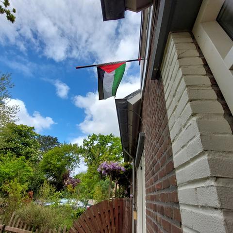 Een Palestijnse vlag halfstok aan een telescoopsteel vanuit een bovenraam, tegen een witbewolkte blauwe lucht, daaronder tuin, huisgevel en bomen.
