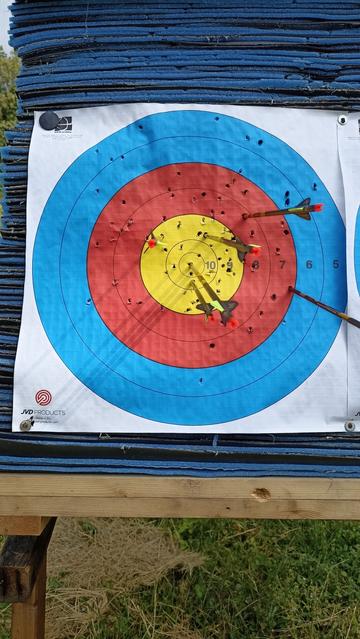 bersaglio di tiro con l'arco con 6 frecce di cui una perfettamente al centro