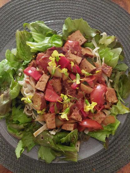 Assiette repas végane: salade verte citron/huile de colza. Tagliatelles aux herbes( ciboulette)
Poêlée rapide cuidifiée de poivron rouge, petite tomate,tofu fumé, fenouil, chou rouge lactofermenté estragon tamari,gingembre, Fleurs de chou crème végétale de riz