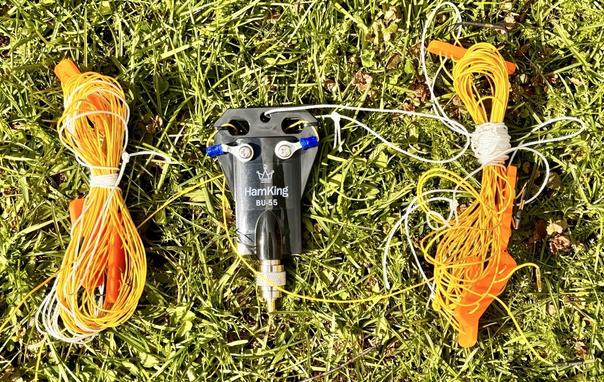Linked dipole antenna on grass