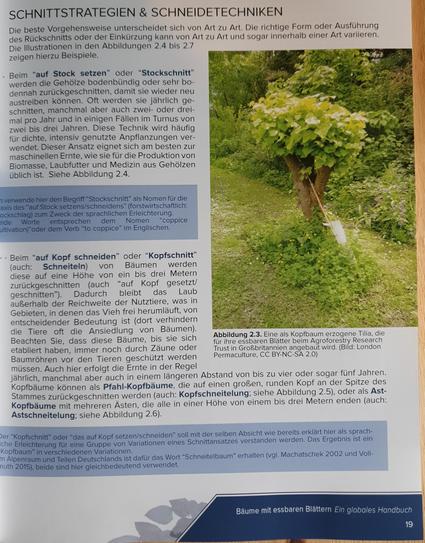 Aufgeschlagene Seite: Schnittstrategien und Schneidetechniken