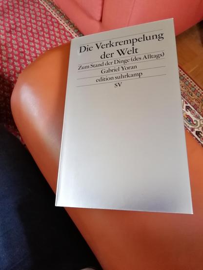 Aufnahme des Buchs von Gabriel Yoran: Die Verkrempelung der Welt. Suhrkamp 2025