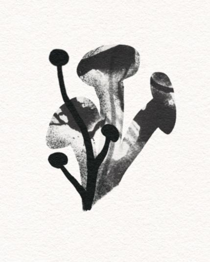 Tattoo design of a mushroom cluster with three black, thin black mushrooms and three thick shadowy mushrooms with a variety of black and grey shades.