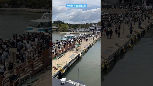 GW日本三景松島【2025.5.4松島中央観光桟橋】#shorts #japan #観光