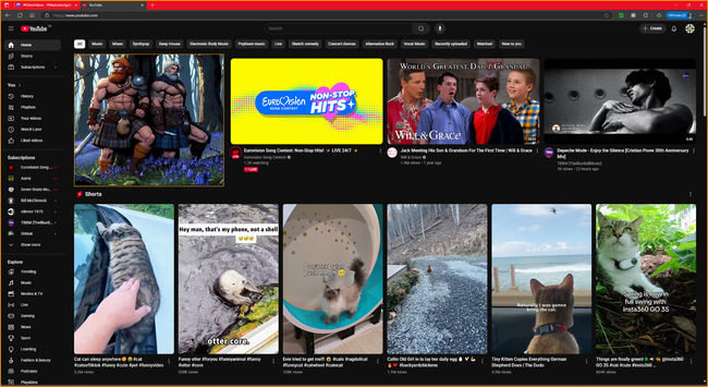Has #YouTube #RunOut of #KittenVideos...?