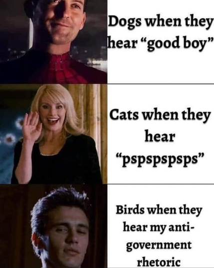 shitpost