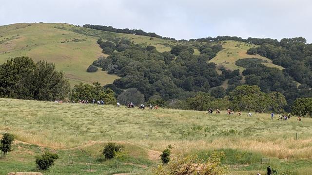 In a distant view of high school MTB racers among the hills of Stafford Lake Bike Park
