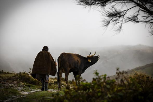 Serra do Alvão. Portugal em novembro de 2023.