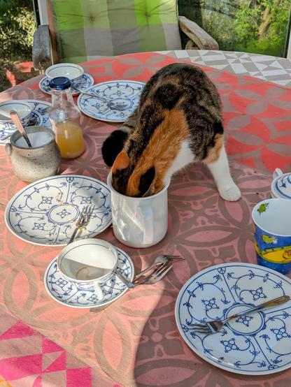 A calico cat is partially inside a white cup on a table set with various blue and white dishware, cutlery, and a drink. The tablecloth features a patterned design, with a few empty plates, cups and a bottle visible.
