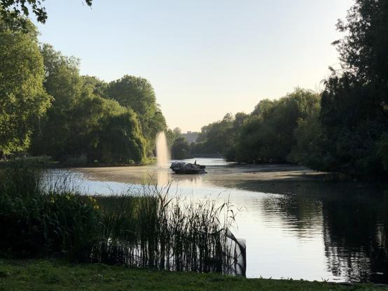 The image shows a serene park scene featuring a pond or lake with a fountain at its center, creating a vertical spray of water. Surrounding the pond are lush trees and some shrubs along the water's edge. The area is bathed in soft, warm light, likely indicating either early morning or late afternoon. In the background, there appears to be a more open space, possibly a field or a distant part of the park, with buildings faintly visible beyond the trees. This setting looks peaceful and is probably a popular spot for relaxation and enjoying nature.