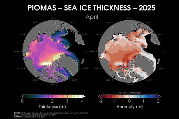 Two polar stereographic maps showing Arctic sea ice thickness and its anomalies in April 2025. Most of the region observed below average sea ice thickness with anomalies ranging from -2 meters to 2 meters. Red shading is shown for thinner than average ice, and blue shading is shown for thicker than average ice.