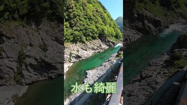 徳島県吉野川・大歩危の鯉のぼり#Shorts