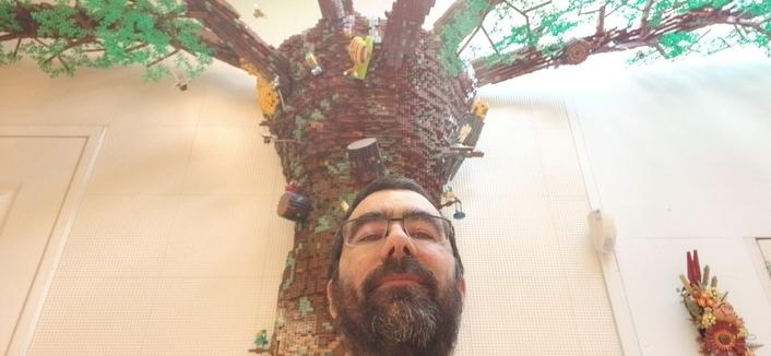 un arbre Lego sur le mur et plafond d'un magasin. Ma tête en bas