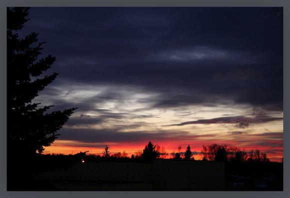 Picture of a sunset behind trees. 
Colors top to bottom: dark blue to blueish grey to white to orange to black.