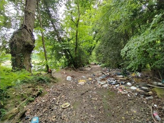 Un chemin de terre bordé d'arbres des deux côtés est recouvert d'ordures.