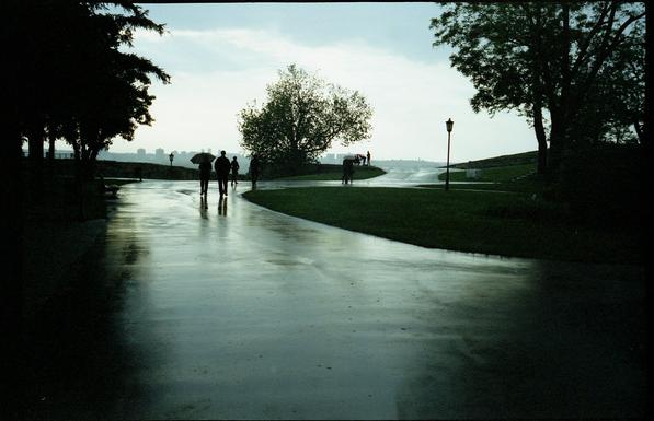 A park and its alleys shining from the rain, silhouettes and umbrella are seen in the distance.