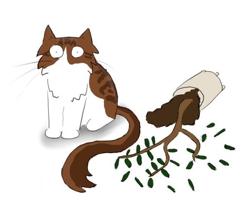 A cartoon of a tabby and white Maine Coon cat standing next to a knocked over, and quite defeated, olive tree in a plant pot.