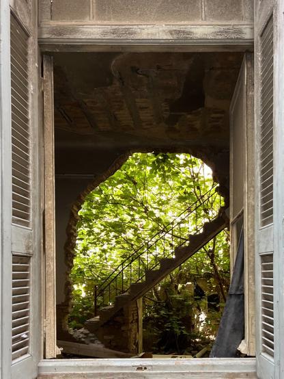 A window frame with wooden shutters in an abandoned house. The shutters are open, revealing a derelict room, and a staircase ascending a wall with a huge hole in it, through which green trees lit with sun, the staircase rising against leaves and light
