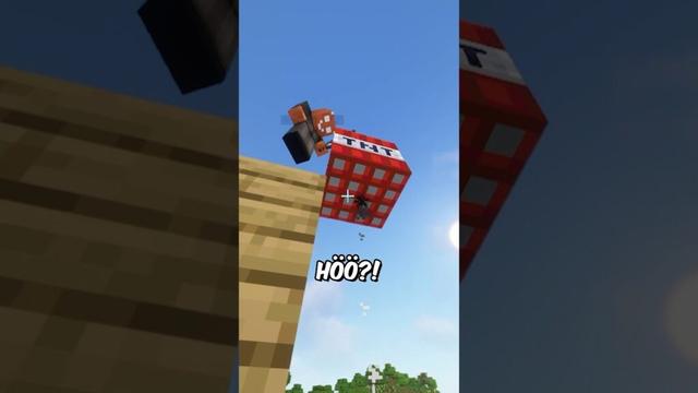 NORMALSTER TAG mit DIESEM EINEN FREUND in MINECRAFT… #minecraft #toobad #diesereinefreund