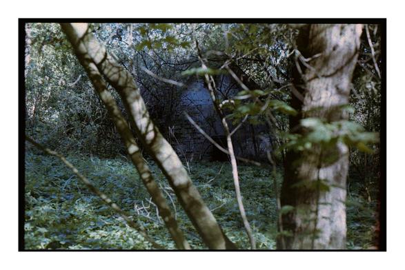 An overgrown forest scene with a partially hidden abandoned house, viewed through tangled trees and underbrush, captured on expired Fujicolor 200 film with muted tones and visible grain.