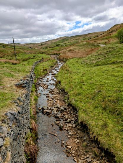 A brook on moorland. The brook goes from top to bottom, centrally. Either side of the brook is grass.
