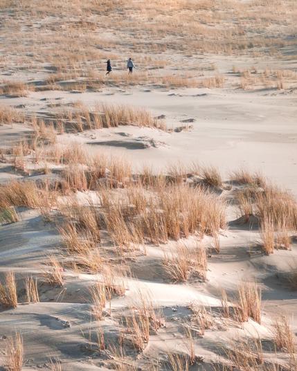 deux personnes traversant les dunes dans le sud ouest de la France