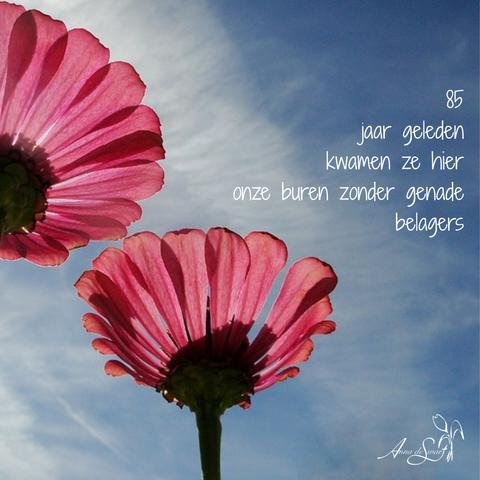 85
jaar geleden
kwamen ze hier
onze buren zonder genade
belagers

elfje 1/4 door Anna de Swart gecombineerd met rode bloemen tegen een wit met blauwe lucht
