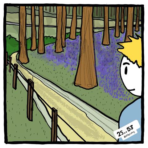Pictured walking in a wood with a bed of bluebells