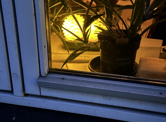 Kig ind i vinduet hvor to kogleformet lys lyser bagved en sanseveria plante i vindueskarmen. Fotoet er taget udefra. Vindueskarmen er hvidt og lyset i den smule man kan se i rummet er gulligt pga det eneste lys fra de kogleformet L.E.D. sterinlys.