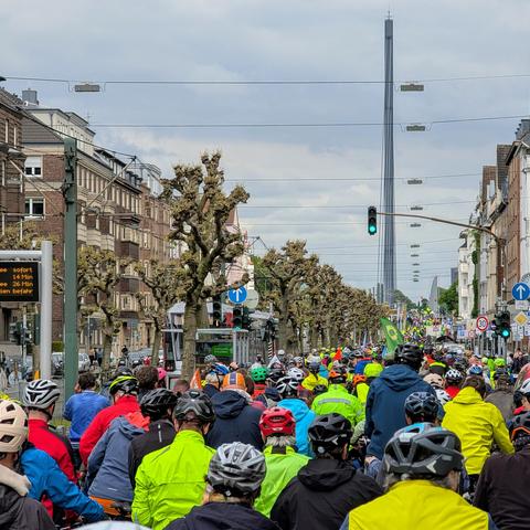 Radfahrer auf der Luegallee in Düsseldorf