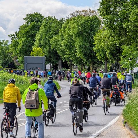 Radfahrer auf dem Gerichtsschreiberweg in Düsseldorf Kalkum