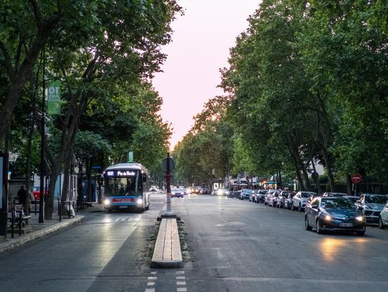 A tree-lined street in Paris with a bus and parked cars at sunset.