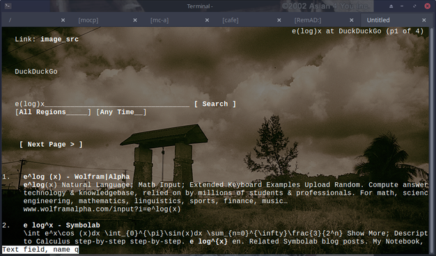 The image shows a computer screen with a web browser open to DuckDuckGo, a search engine. The search bar contains the query "e(log)x." The DuckDuckGo page is in grayscale, with a background image of a cloudy sky and a structure resembling ancient ruins. Below the search bar, there are search options for "All Regions" and "Any Time," along with a "Search" button. The page also includes a "Next Page" button.

The search results are displayed, with the first result being "e log(x) - WolframAlpha," which provides information about the natural logarithm function. The second result is "e log(x) - Symbolab," which offers a step-by-step solution to calculus problems. The text "Text, name, field, name" is visible, suggesting a search for related content. The browser's title bar shows the URL "e(log)x at DuckDuckGo (p1 of 4)," indicating the first page of results. The browser's tabs include "Terminal," "mocp," "mc-a," and "[RemAD]," short for RemADeus an acronym indication love for the Amiga RAD: device

Ovis2-8B

🌱 Energy used: 0.235 Wh