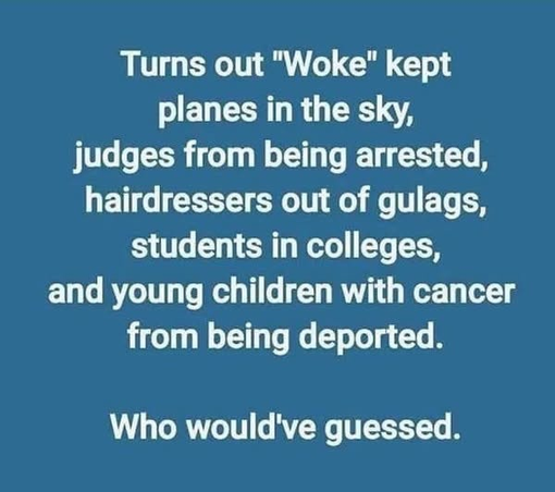 Turns out "Woke" kept planes in the sky,

judges from being arrested, hairdressers out of gulags, and young children with cancer

students in colleges, from being deported. Who would've guessed.