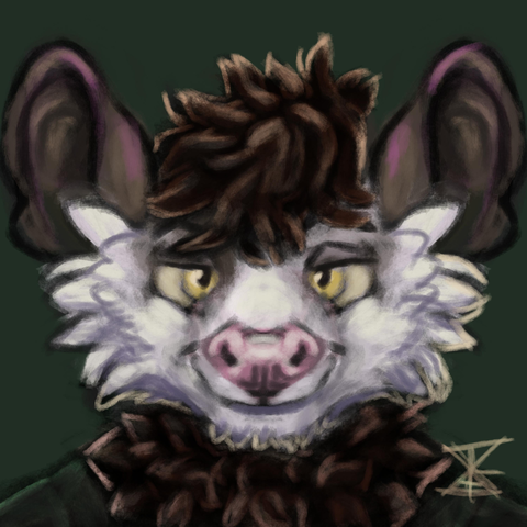 A full frontal headshot of Brad the oppossum smiling
