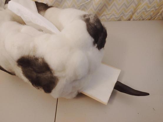 Looking towards the rear of the tissue box, you can see a panel partially slid out from the bottom. The panel has a brown tail you can pull.