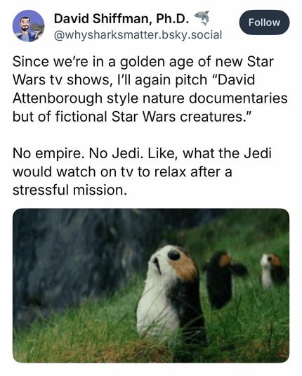 Since we’re in a golden age of new Star Wars tv shows, I’ll again pitch “David Attenborough style nature documentaries but of fictional Star Wars creatures.” 

No empire. No Jedi. Like, what the Jedi would watch on tv to relax after a stressful mission.