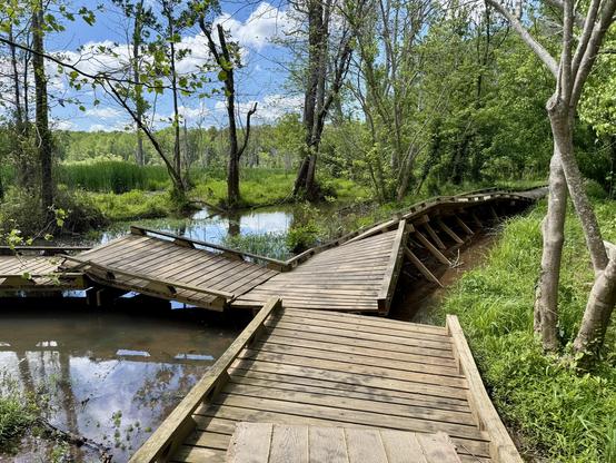A view of the boardwalks in Lake Conestee Nature Park, which were torn up by Hurricane Helene.