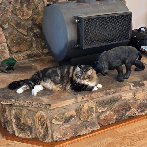 Ozzy is a large, fluffy black and brown tabby with white chest and paws, and green eyes. He lies on a raised stone foundation, with the sculpture of a black panther to the right, and a black woodstove behind him. There’s a frog lamp in the background at left.