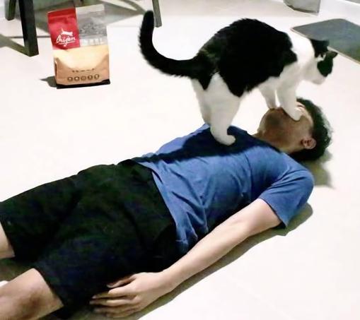 Taxido cat stands on the chest of a man  lying down on the floor.
The cat's front paws are placed on the man's eyes.