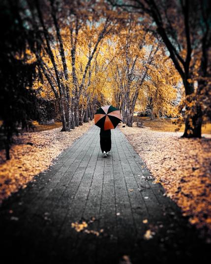 A woman with an umbrella walks down a yellow shaded path
