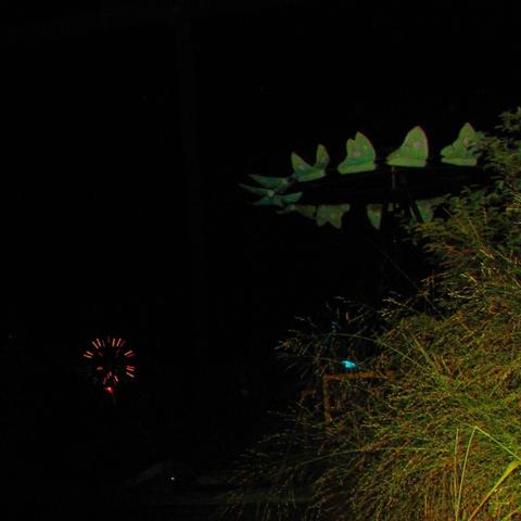 A wonderful installation of 'persistence of vision' flying moths for Wooly Town, one of the Wooly Fairs in Providence. Rhode Island, USA.  It's comprised of a vertical spinning rod that rotates a circular ring at the top of the rod. The ring had moths attached to it, and when spun at the correct RPM and with spot lights focused on it, provided the illusion that there are moths flying around in a circle.