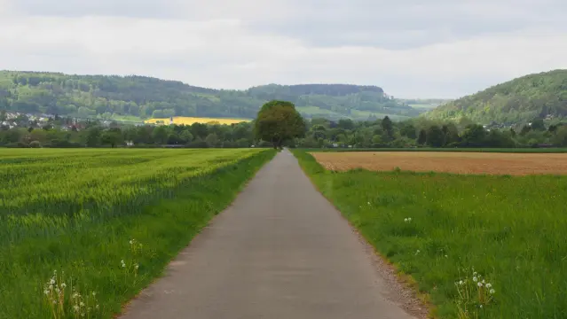 Gerader Weg durch Felder Richtung Waldrand und Hügel